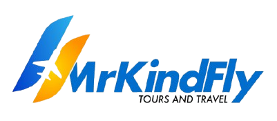 MrKindFly
